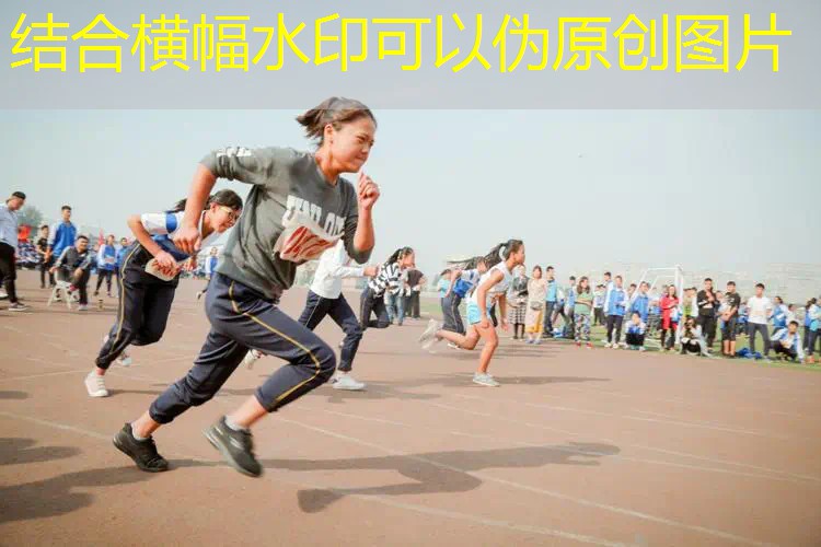 ayx愛游戲：美式校園網球拍怎么選好