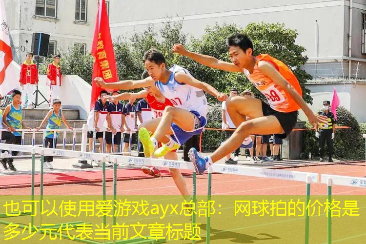 網球拍的價格是多少元 網球拍的價格是多少元